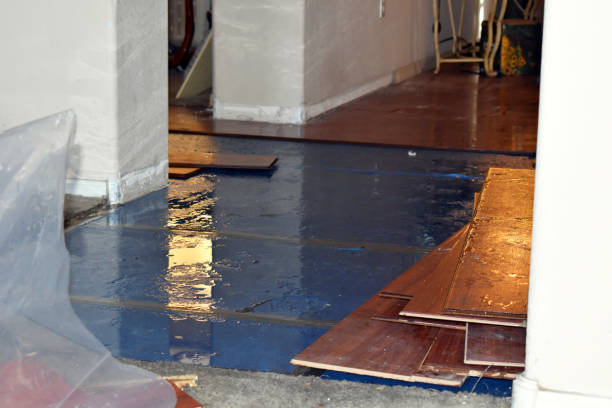 Professional Water Damage technician working in Manawa, WI